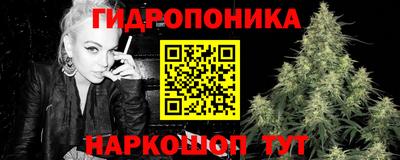 стаф Волгодонск