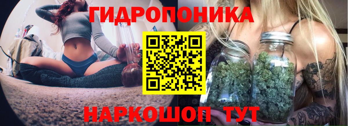 МАРИХУАНА White Widow  Вход с VPN  Санкт-Петербург  Каннабис Amnesia  Каннабис план 